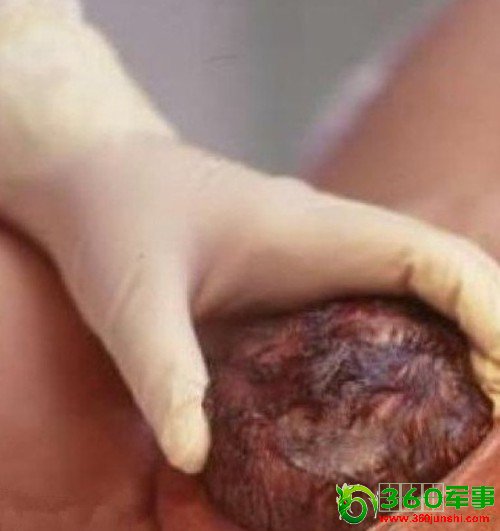 һ��ΰ��ĸ�׷�����̵���Ƭ�����������𺳡�������Ѫ���ܵľ�ͷչʾ����ң����������Ż�˭����ӱ������۰����ĸ�ס����ӡ�